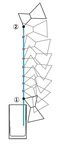 注ぎ方 肘の動き 2.jpg